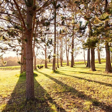 Ruse Estate Retreat Margaret River Rosa Glen Bagian luar foto