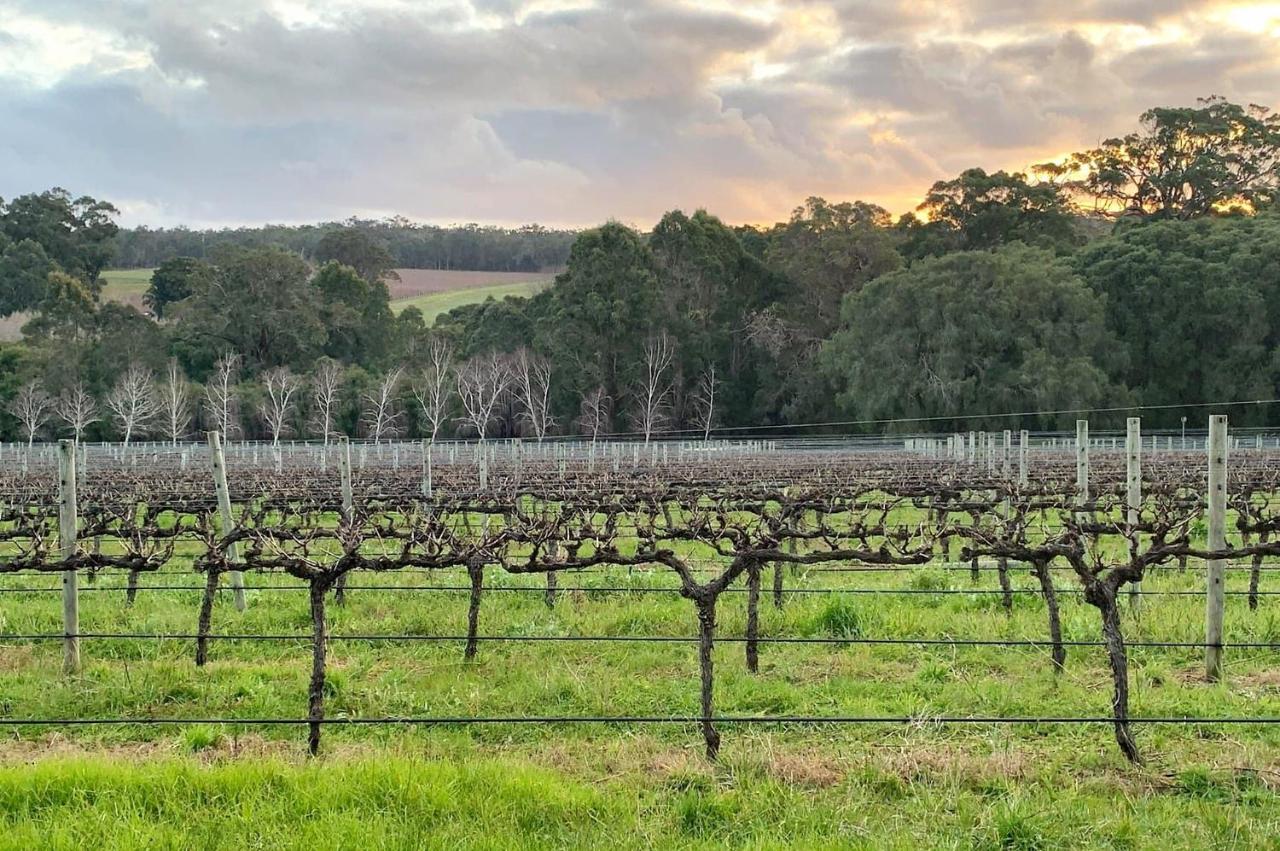 Ruse Estate Retreat Margaret River Rosa Glen Bagian luar foto